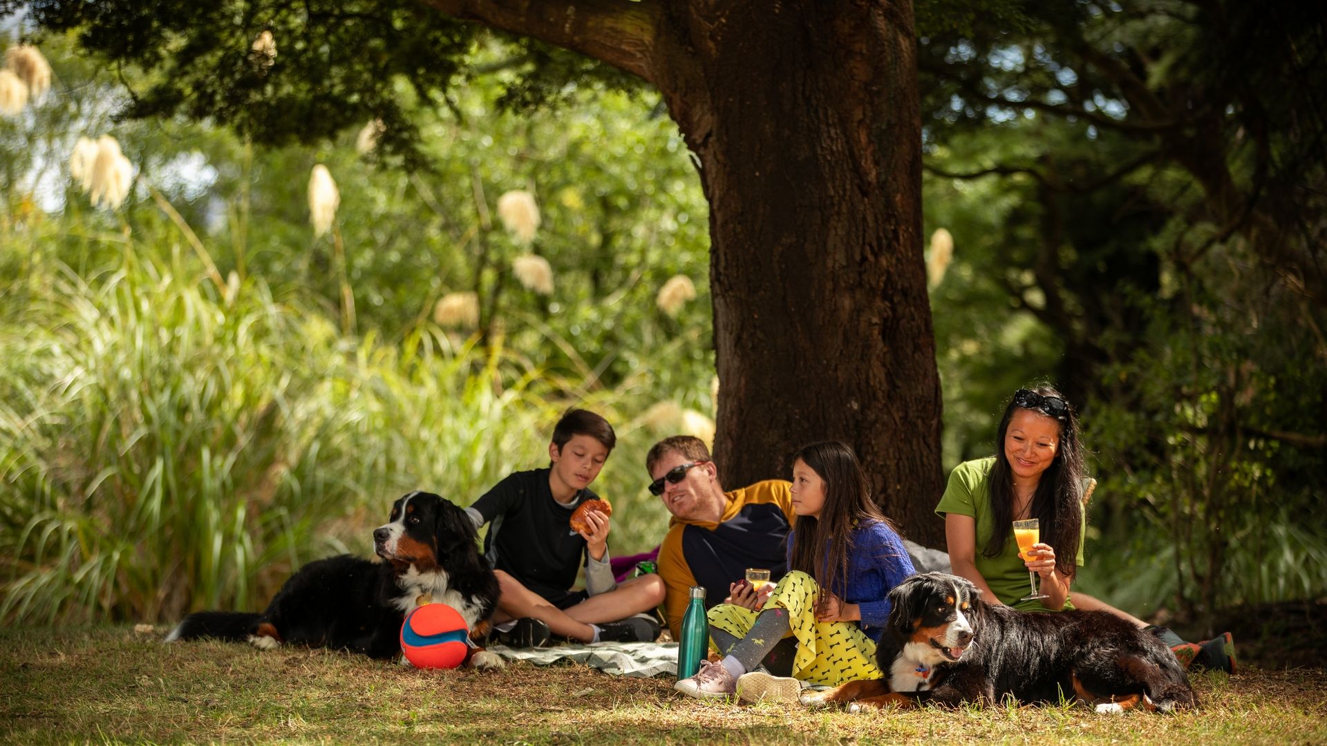 Family and dogs having a picnic in Ohakune - Visit Ruapehu.jpg